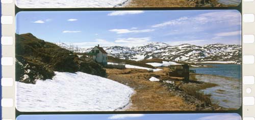 70mm frame "A Year along the Abandoned Road"